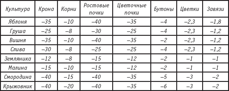 Большая энциклопедия садовода-огородника от А до Я Большая энциклопедия садовода-огородника от А до Я