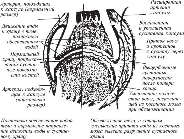 Как лечить боли в спине и ревматические боли в суставах Как лечить боли в спине и ревматические боли в суставах