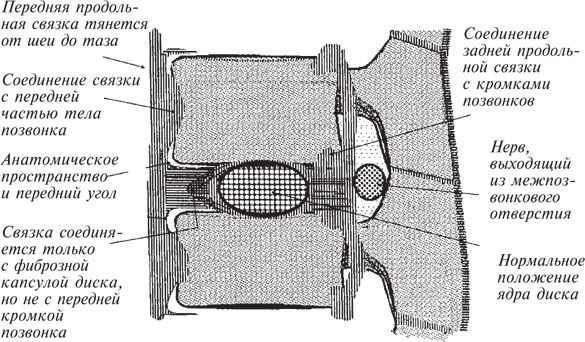 Как лечить боли в спине и ревматические боли в суставах Как лечить боли в спине и ревматические боли в суставах