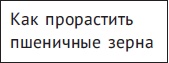Алхимия здоровья. 6 "золотых" правил Алхимия здоровья. 6 "золотых" правил