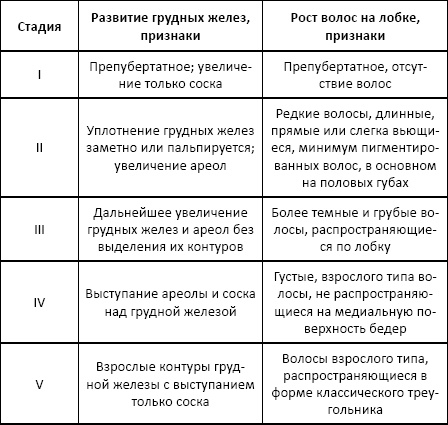 Полный справочник анализов и исследований в медицине Полный справочник анализов и исследований в медицине