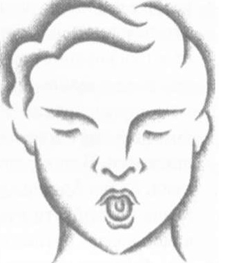 Абсолютная красота. Сияющая кожа и внутренняя гармония. Древние тайны аюрведы Абсолютная красота. Сияющая кожа и внутренняя гармония. Древние тайны аюрведы