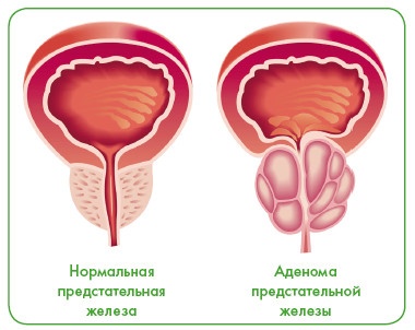 Энциклопедия диагностики и лечения от А до Я Энциклопедия диагностики и лечения от А до Я