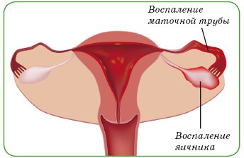 Энциклопедия диагностики и лечения от А до Я Энциклопедия диагностики и лечения от А до Я