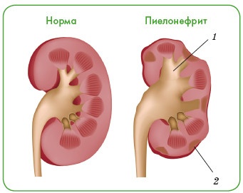 Энциклопедия диагностики и лечения от А до Я Энциклопедия диагностики и лечения от А до Я