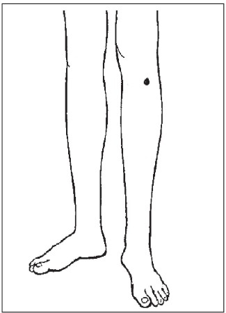 Болезни от А до Я. Традиционное и нетрадиционное лечение