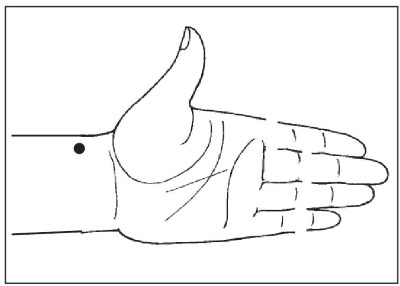 Болезни от А до Я. Традиционное и нетрадиционное лечение