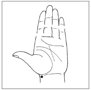 Болезни от А до Я. Традиционное и нетрадиционное лечение