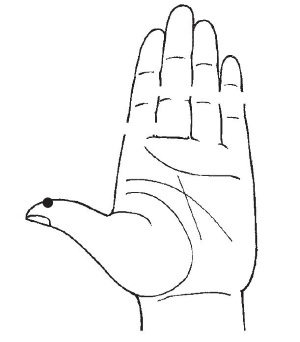 Болезни от А до Я. Традиционное и нетрадиционное лечение Болезни от А до Я. Традиционное и нетрадиционное лечение