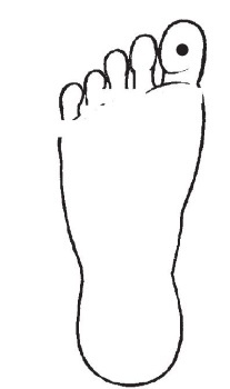 Болезни от А до Я. Традиционное и нетрадиционное лечение Болезни от А до Я. Традиционное и нетрадиционное лечение