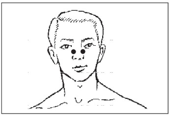 Болезни от А до Я. Традиционное и нетрадиционное лечение Болезни от А до Я. Традиционное и нетрадиционное лечение