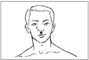 Болезни от А до Я. Традиционное и нетрадиционное лечение Болезни от А до Я. Традиционное и нетрадиционное лечение