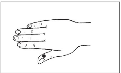 Болезни от А до Я. Традиционное и нетрадиционное лечение Болезни от А до Я. Традиционное и нетрадиционное лечение
