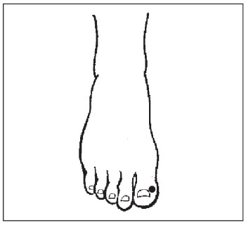 Болезни от А до Я. Традиционное и нетрадиционное лечение Болезни от А до Я. Традиционное и нетрадиционное лечение