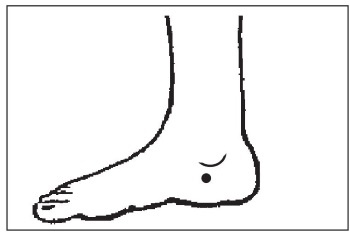 Болезни от А до Я. Традиционное и нетрадиционное лечение Болезни от А до Я. Традиционное и нетрадиционное лечение