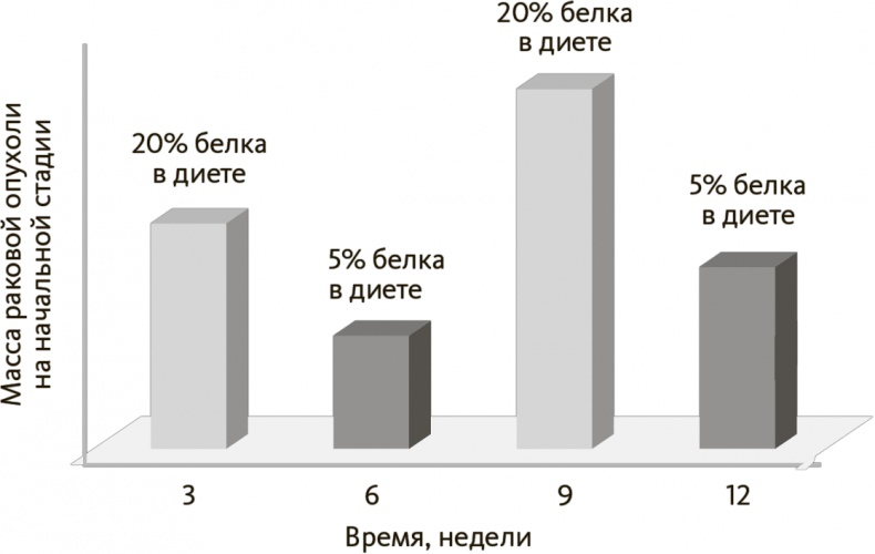 Китайское исследование на практике. Простой переход к здоровому образу жизни Китайское исследование на практике. Простой переход к здоровому образу жизни