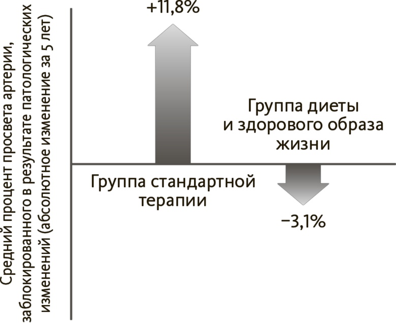 Китайское исследование на практике. Простой переход к здоровому образу жизни Китайское исследование на практике. Простой переход к здоровому образу жизни