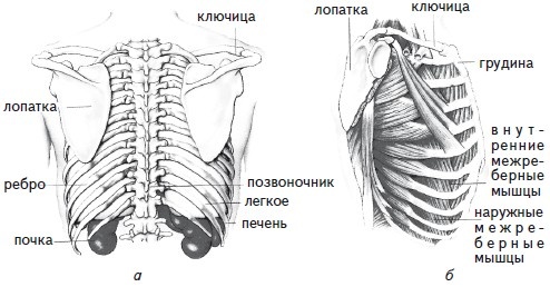 Как избавиться от боли в спине Как избавиться от боли в спине