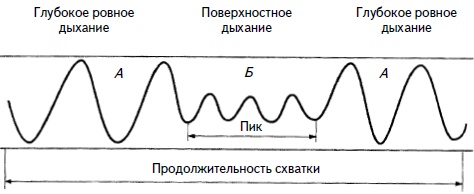 Гимнастика для женщин Гимнастика для женщин