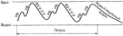 Гимнастика для женщин Гимнастика для женщин