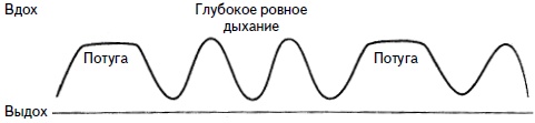 Гимнастика для женщин Гимнастика для женщин