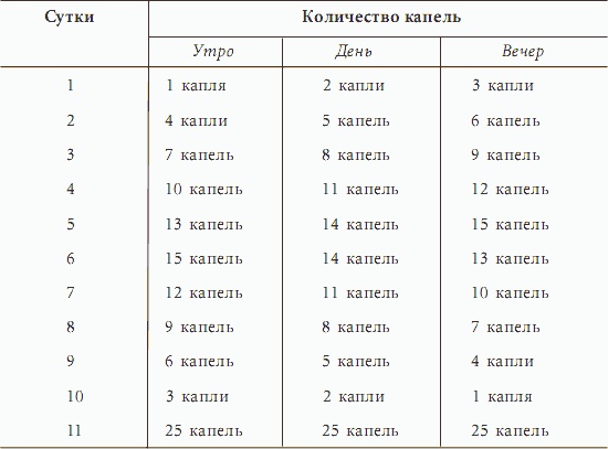 Женское счастье. От мечты к реальности за один год Женское счастье. От мечты к реальности за один год