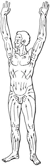 Целебный самомассаж для бодрости духа и радости тела Целебный самомассаж для бодрости духа и радости тела