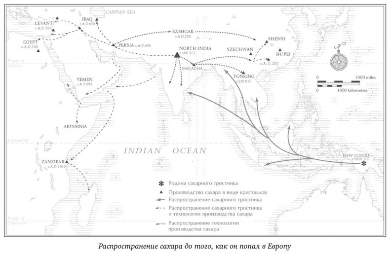 История сахара. Сладкая и горькая История сахара. Сладкая и горькая