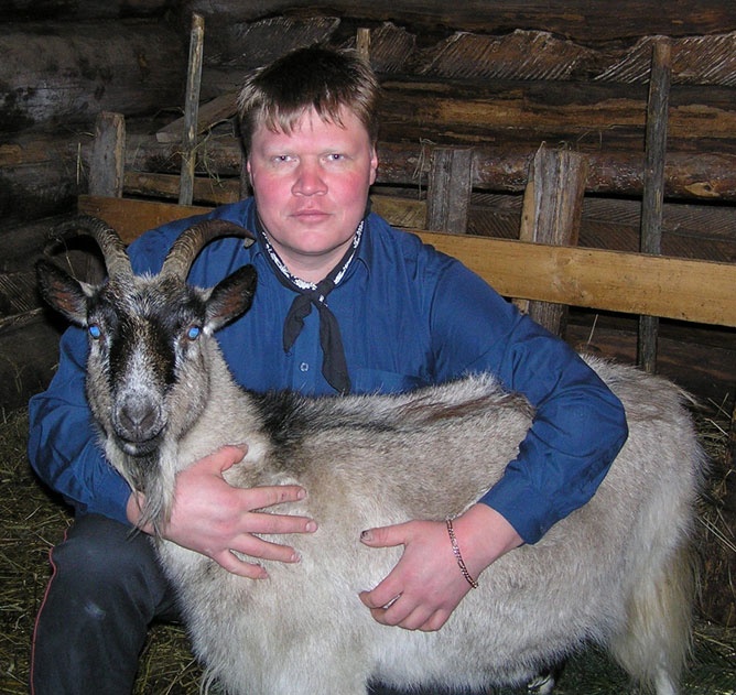 Лечение козьим молоком Лечение козьим молоком