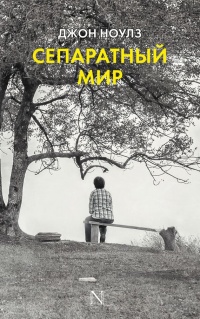 Сепаратный мир - Джон Ноулз - Читать книги онлайн | Слушать аудиокниги онлайн | Электронная библиотека books-lib.com