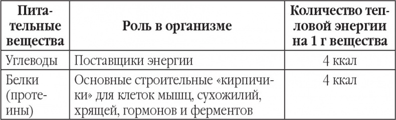 Новый счетчик калорий. Ваш бонус: 100 рецептов блюд с посчитанными калориями Новый счетчик калорий. Ваш бонус: 100 рецептов блюд с посчитанными калориями
