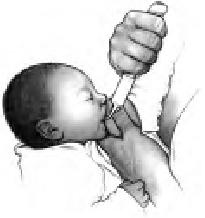 Грудное вскармливание. Кормление грудью нужно и ребенку, и маме Грудное вскармливание. Кормление грудью нужно и ребенку, и маме