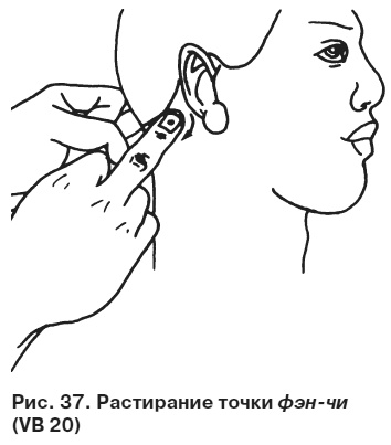 Целительные точки от всех болезней в пошаговых схемах Целительные точки от всех болезней в пошаговых схемах
