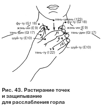 Целительные точки от всех болезней в пошаговых схемах Целительные точки от всех болезней в пошаговых схемах