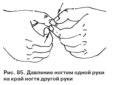 Целительные точки от всех болезней в пошаговых схемах Целительные точки от всех болезней в пошаговых схемах