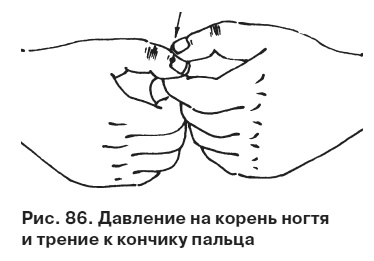 Целительные точки от всех болезней в пошаговых схемах Целительные точки от всех болезней в пошаговых схемах