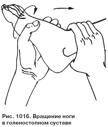 Целительные точки от всех болезней в пошаговых схемах Целительные точки от всех болезней в пошаговых схемах