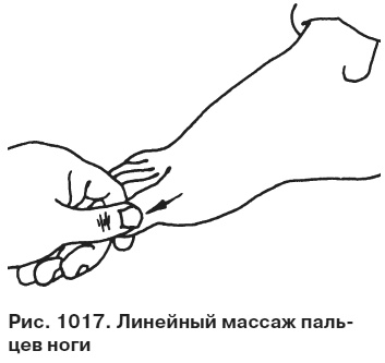 Целительные точки от всех болезней в пошаговых схемах Целительные точки от всех болезней в пошаговых схемах