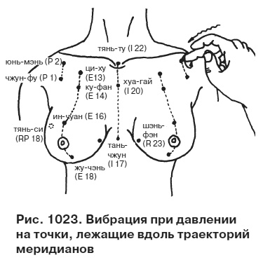 Целительные точки от всех болезней в пошаговых схемах Целительные точки от всех болезней в пошаговых схемах