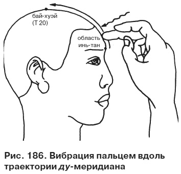 Целительные точки от всех болезней в пошаговых схемах Целительные точки от всех болезней в пошаговых схемах