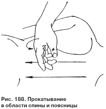 Целительные точки от всех болезней в пошаговых схемах Целительные точки от всех болезней в пошаговых схемах
