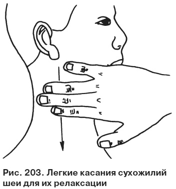 Целительные точки от всех болезней в пошаговых схемах Целительные точки от всех болезней в пошаговых схемах