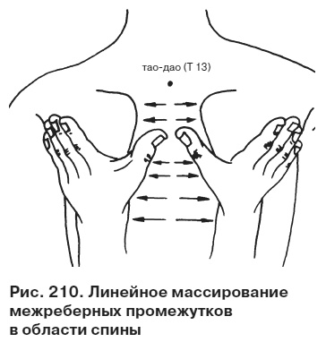 Целительные точки от всех болезней в пошаговых схемах Целительные точки от всех болезней в пошаговых схемах