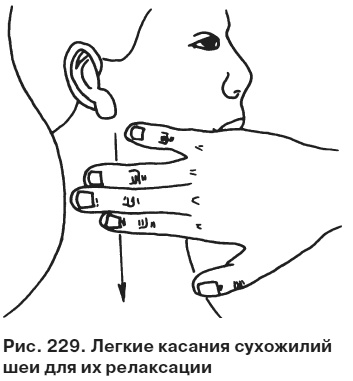 Целительные точки от всех болезней в пошаговых схемах Целительные точки от всех болезней в пошаговых схемах