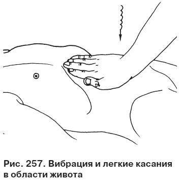 Целительные точки от всех болезней в пошаговых схемах Целительные точки от всех болезней в пошаговых схемах