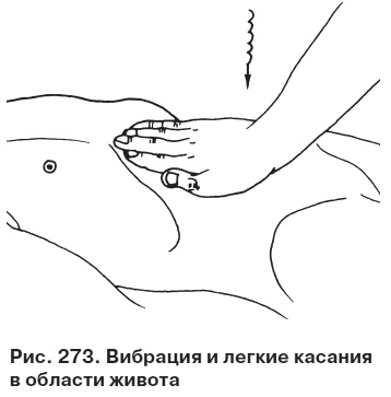 Целительные точки от всех болезней в пошаговых схемах Целительные точки от всех болезней в пошаговых схемах