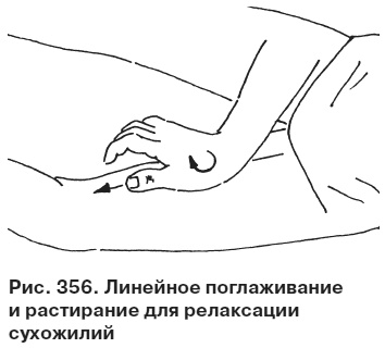 Целительные точки от всех болезней в пошаговых схемах Целительные точки от всех болезней в пошаговых схемах
