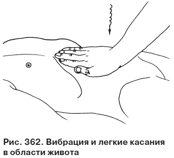 Целительные точки от всех болезней в пошаговых схемах Целительные точки от всех болезней в пошаговых схемах