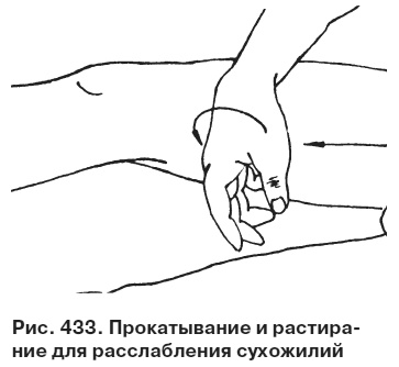 Целительные точки от всех болезней в пошаговых схемах Целительные точки от всех болезней в пошаговых схемах