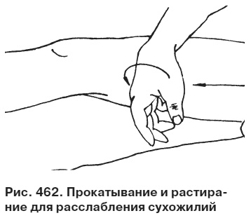 Целительные точки от всех болезней в пошаговых схемах Целительные точки от всех болезней в пошаговых схемах